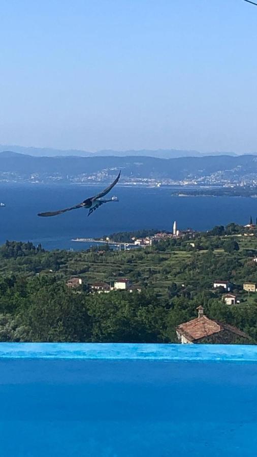 Apartmaji Meli Pu Izola Zewnętrze zdjęcie