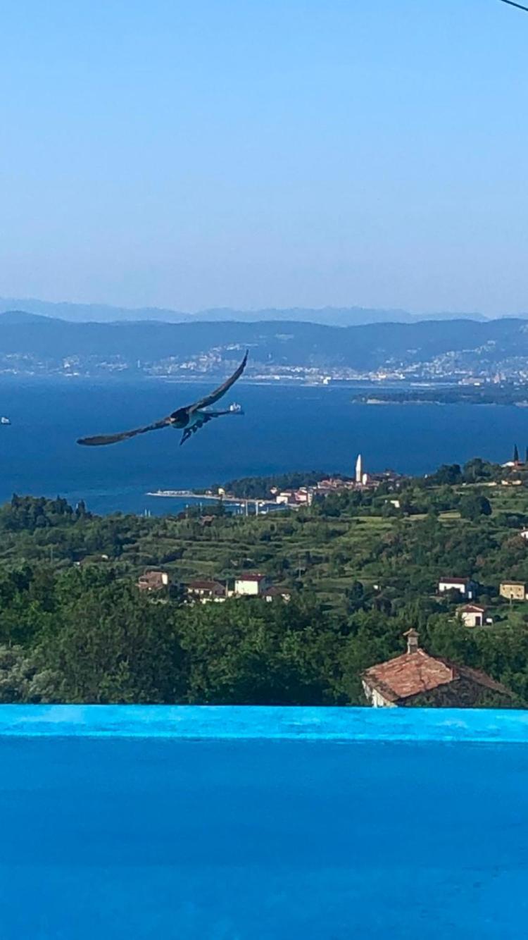 Apartmaji Meli Pu Izola Zewnętrze zdjęcie